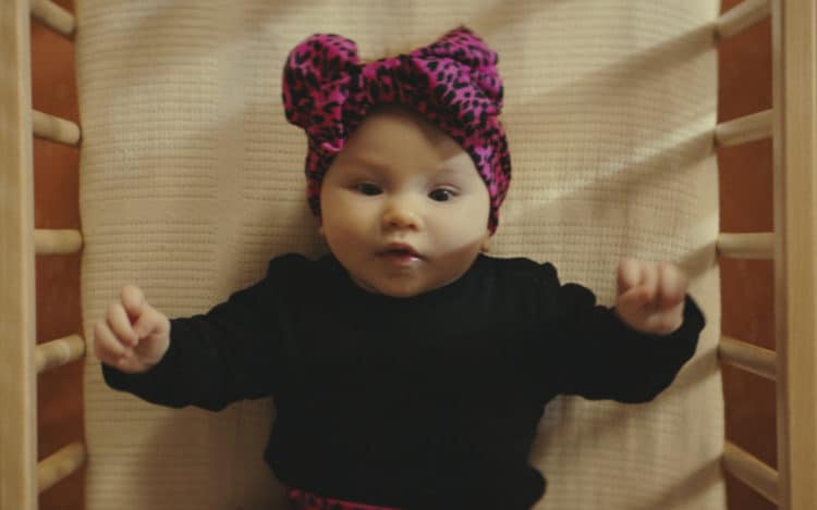 BIPA »40 Jahre BIPA«